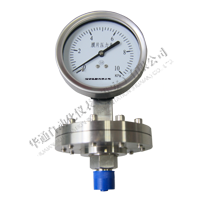 不锈钢膜片压力表