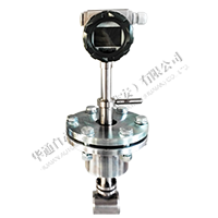 插入式涡街流量计